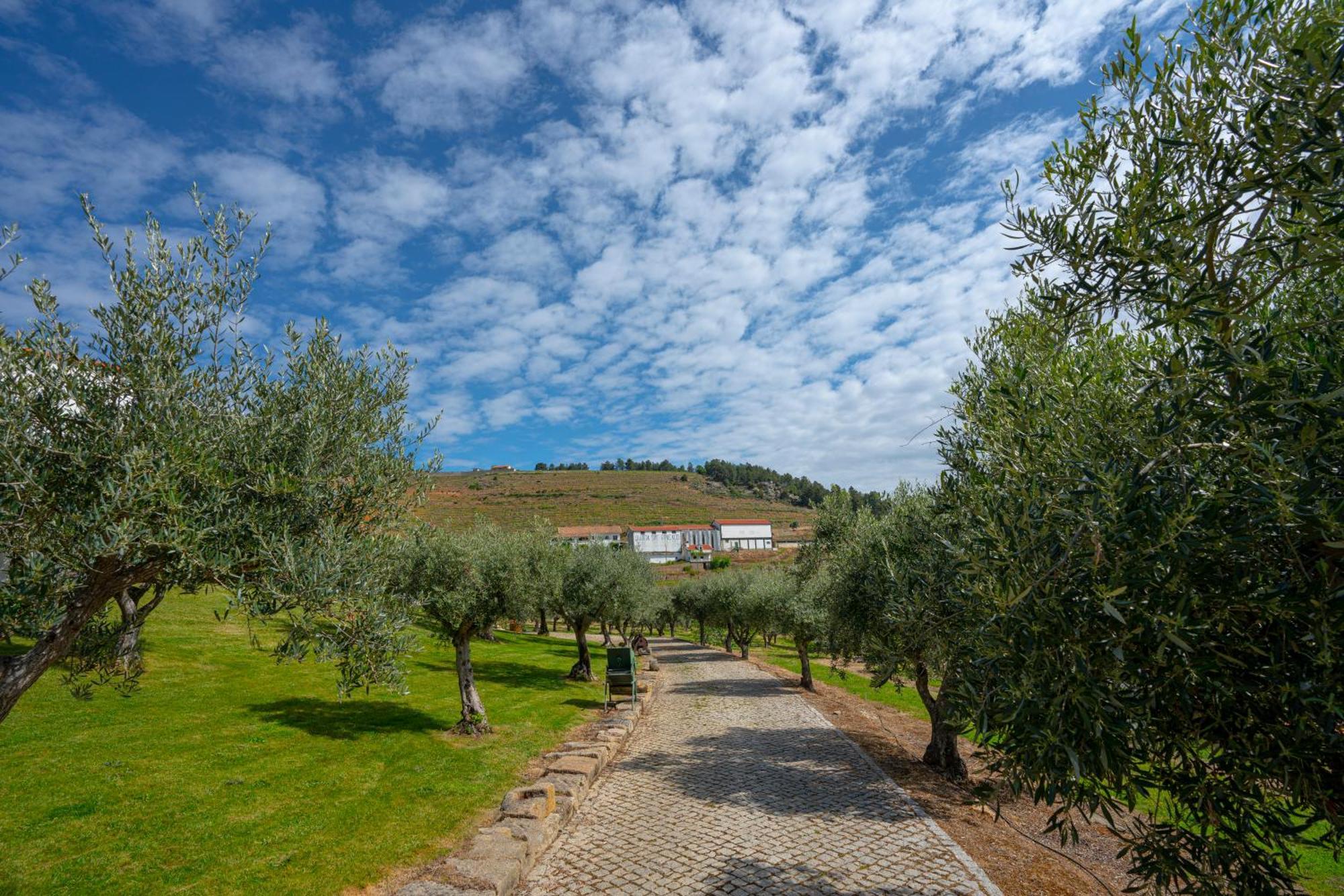 Valonquinta - Agro Hotel & Spa ヴィーラ・フロール エクステリア 写真