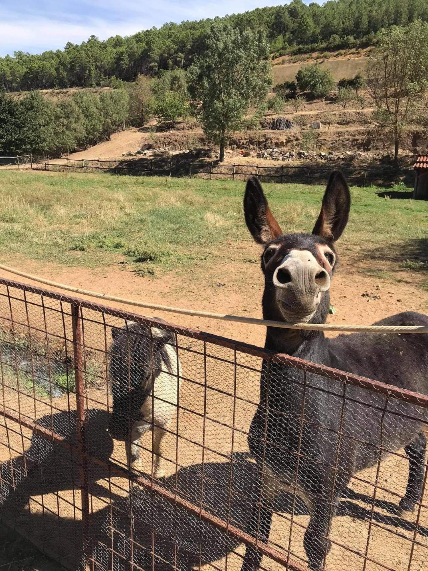 Valonquinta - Agro Hotel & Spa ヴィーラ・フロール エクステリア 写真